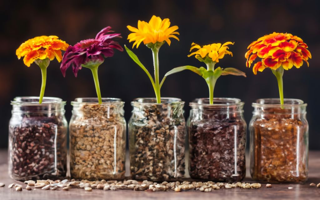 Seed, Bulbs, & Supplies
