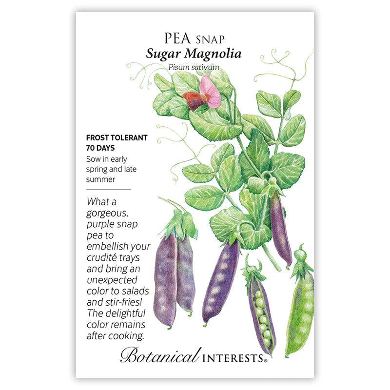 Pea Snap Sugar Magnolia