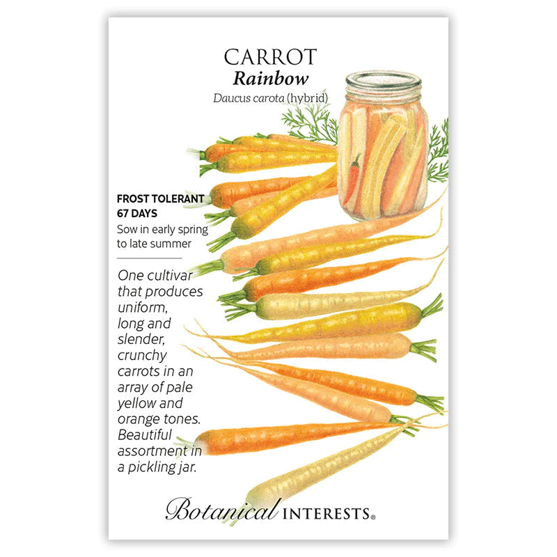 Carrot Rainbow hybrid