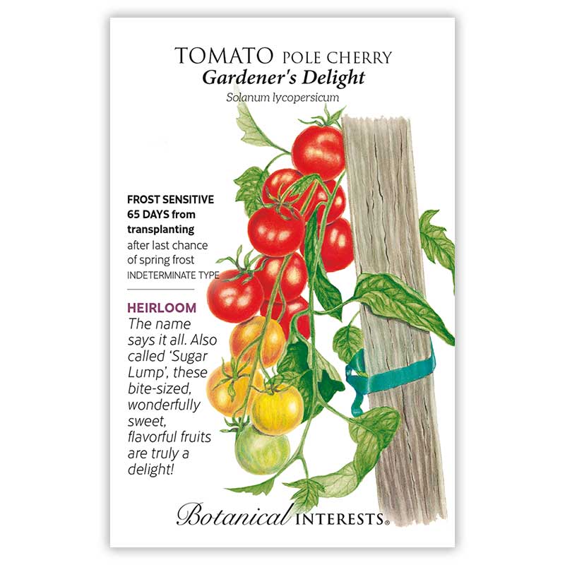 Tomato Pole Cherry Gardener's Delight