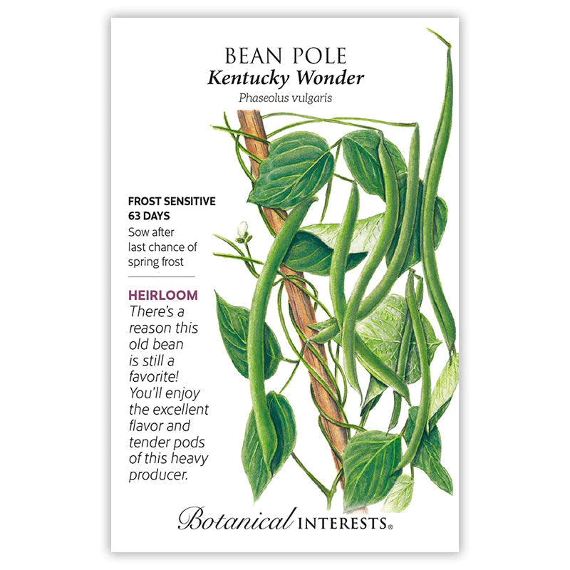 Bean Pole Yard Long Orient Wonder