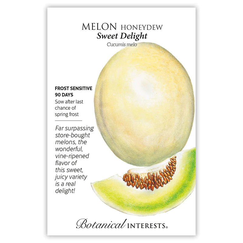 Melon Honeydew Sweet Delight