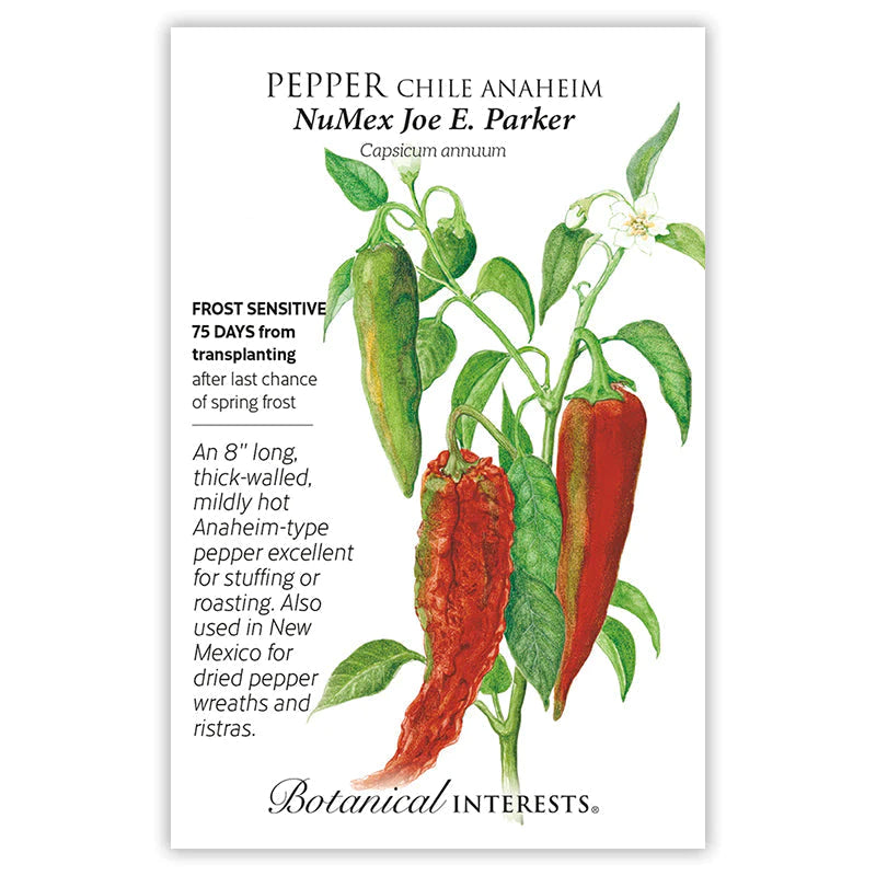 Pepper Chile Anaheim NMJoeParker