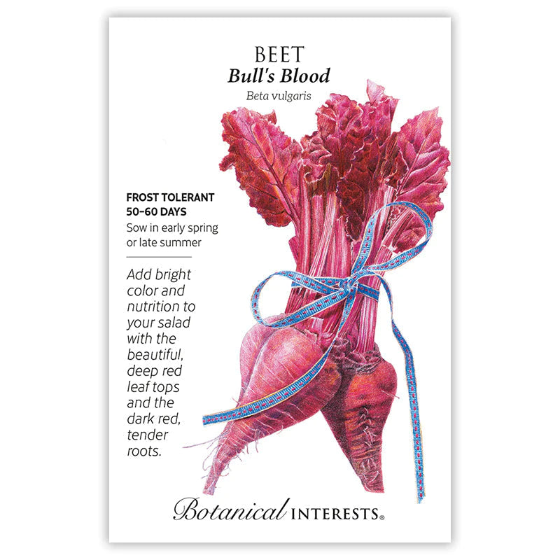Beet Bulls Blood