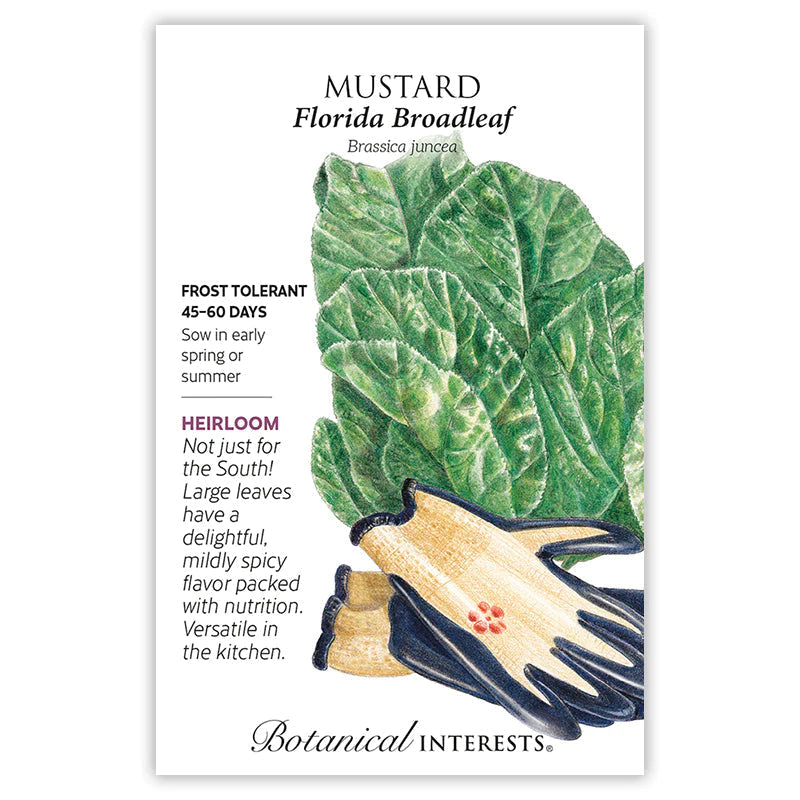 Mustard Florida Broadleaf Seeds