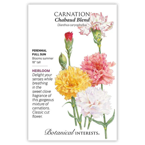Carnation Chabaud Blend