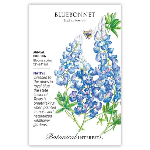 Bluebonnet Seed