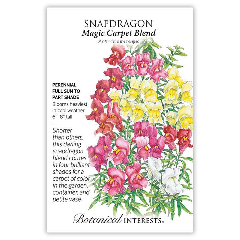 Snapdragon Magic Carpet Blend