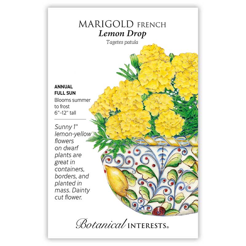 french marigold seeds Marigold French Lemon Drop Seeds
