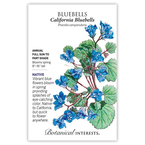 Bluebells California