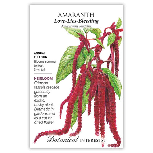 AMARANTH LOVE LIES BLEEDING