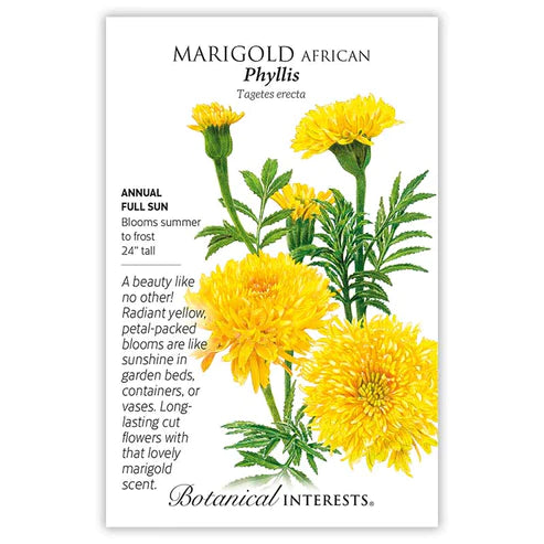 Marigold African Phyllis Yellow Seeds