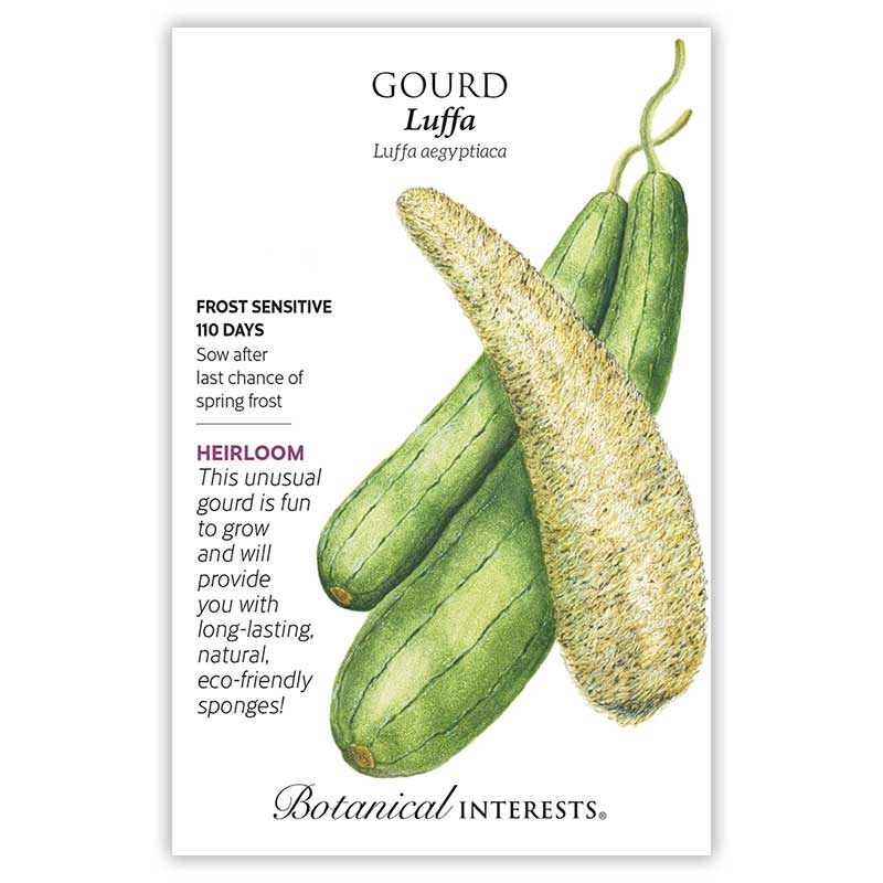 GOURD LUFFA