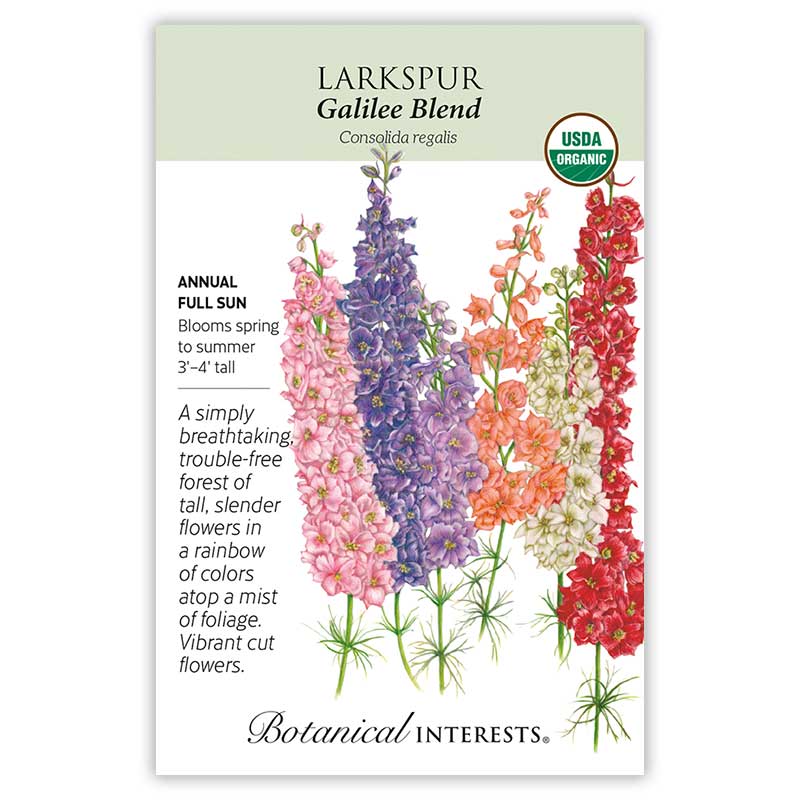 Larkspur Galilee Blend Org