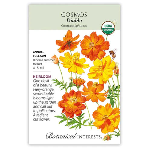 Cosmos Diablo Org