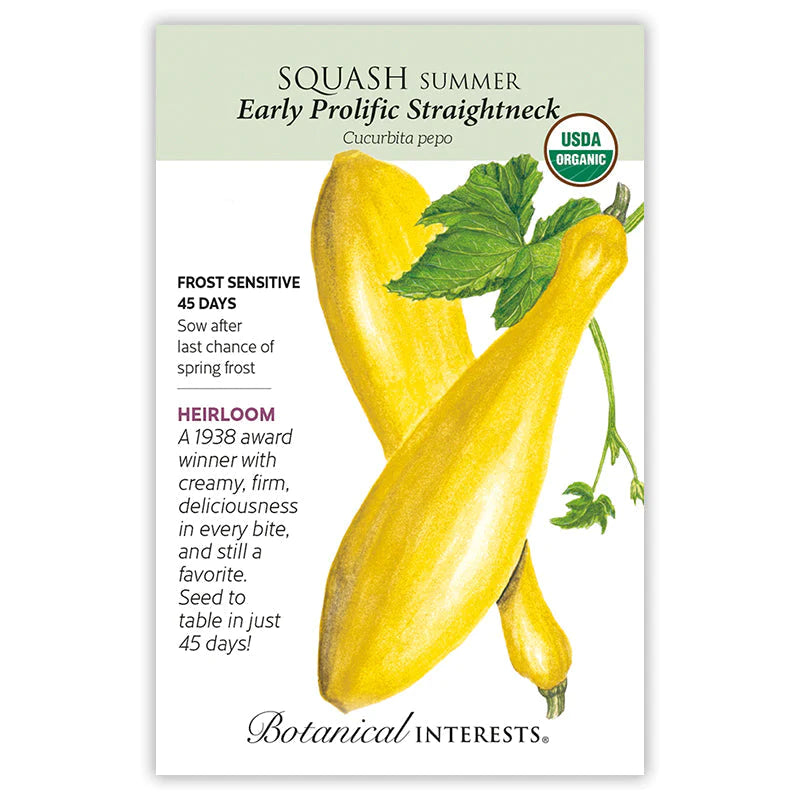 Squash Summer Early Prolific Straightneck Org