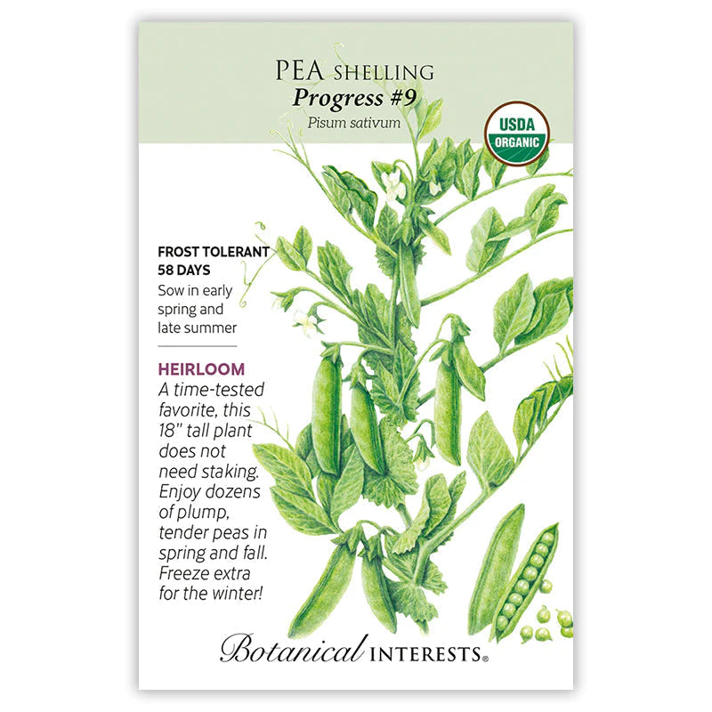 Pea Shelling Progress #9 Org