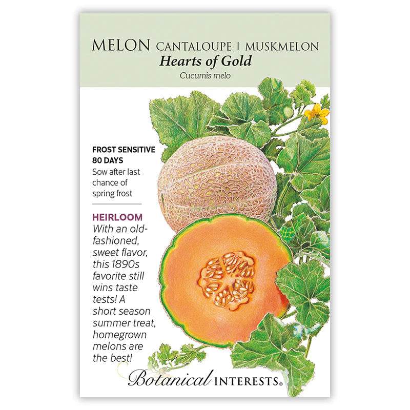 Melon Hearts of Gold Seeds ORG
