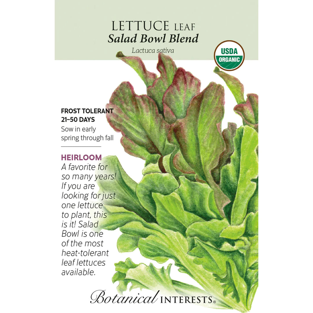 Lettuce Leaf Salad Bowl Blend Org
