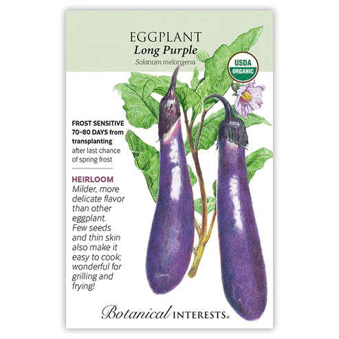 Eggplant Long Purple Org