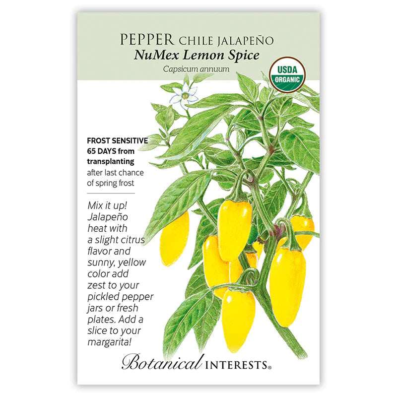Pepper Chile Jalapeno NuMEx Lemon Spice Org