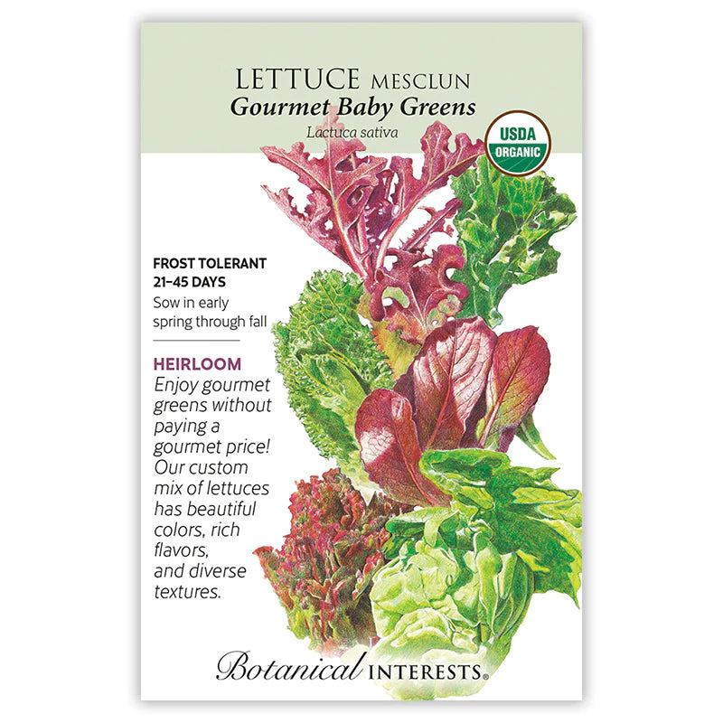 Lettuce Mesclun Gourmet Baby Greens ORG