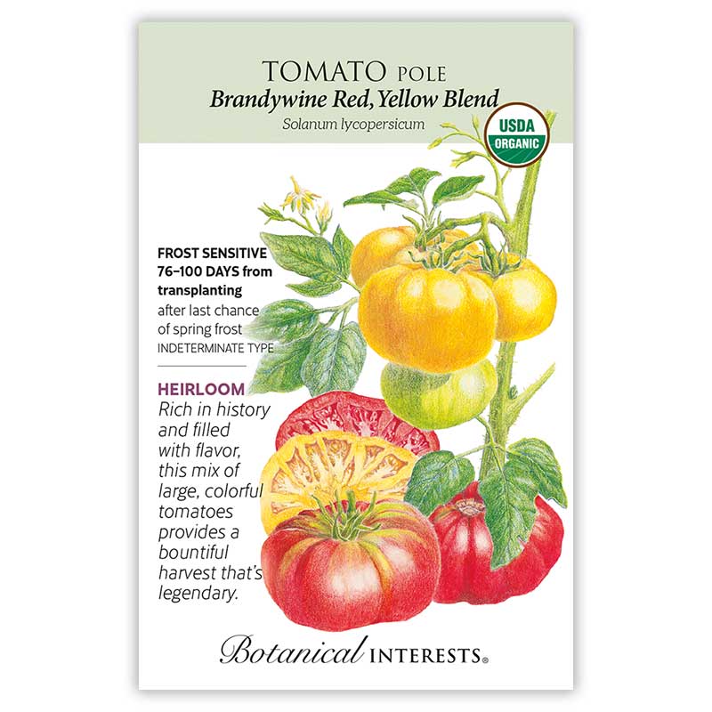 Tomato Pole Brandywine R/Y Blend Org
