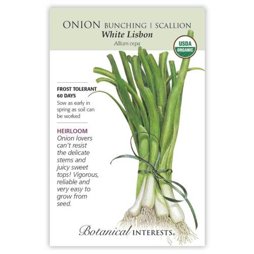 Onion Bunching / Scallion (white) Lisbon Seeds ORG
