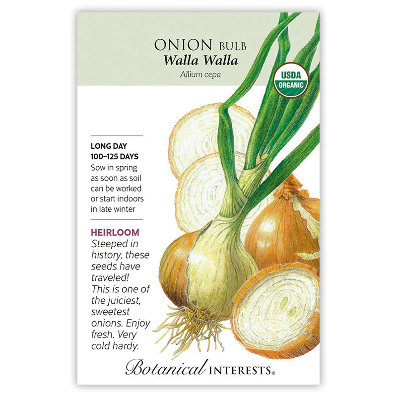 Onion Bulb Walla Walla Seeds ORG