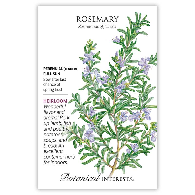 Rosemary Seed