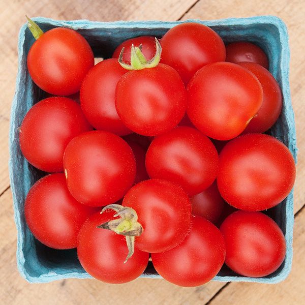Peacevine Cherry Tomato New 2025