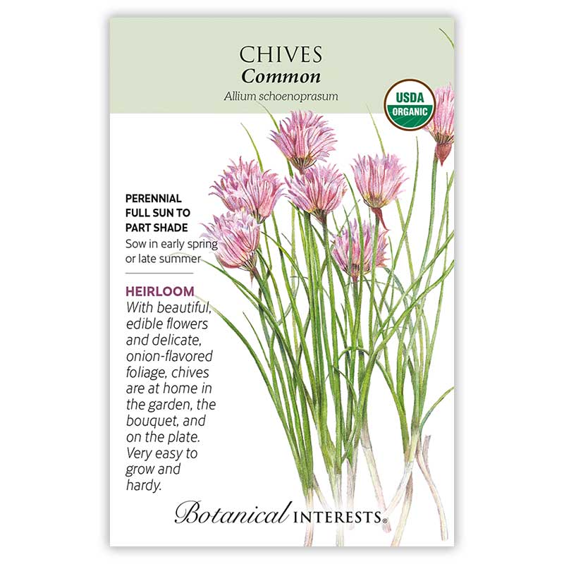 Chives Seed Org