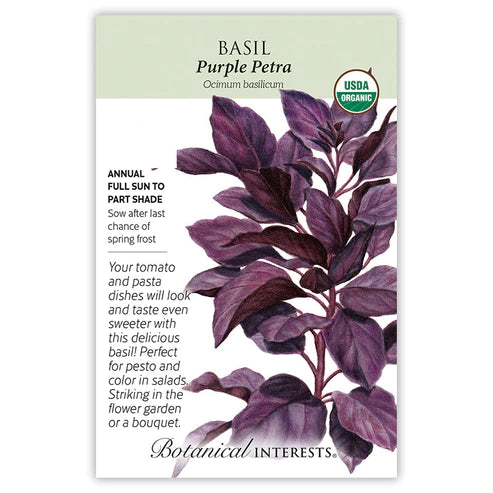 Basil Purple Petra Org
