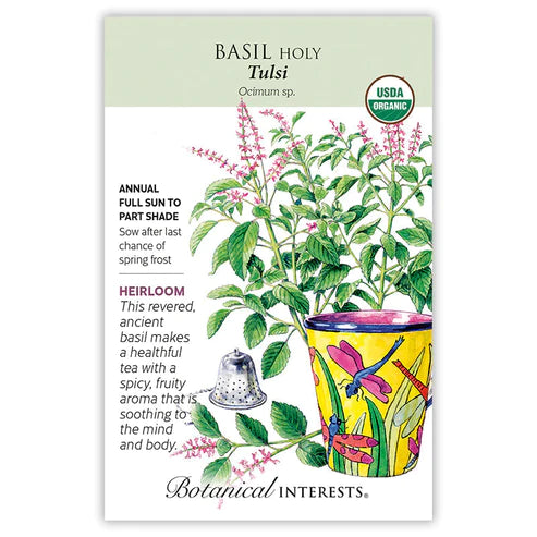 Basil Holy Tulsi Org
