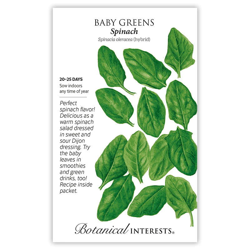 Baby Greens Spinach