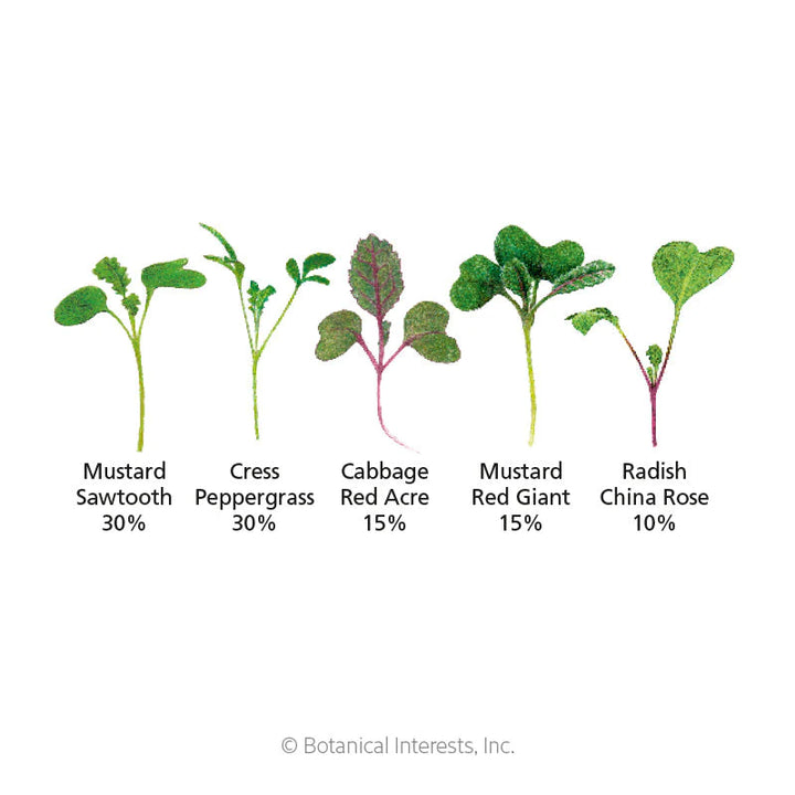 Microgreens Jazzy Seed Mix