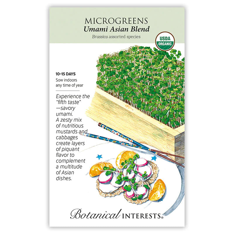 Microgreens Umami Asian Seed Blend ORG