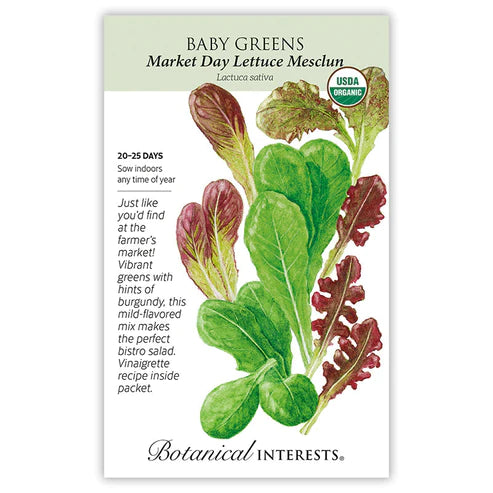 Baby Greens Lettuce Market Day Mesclun Org