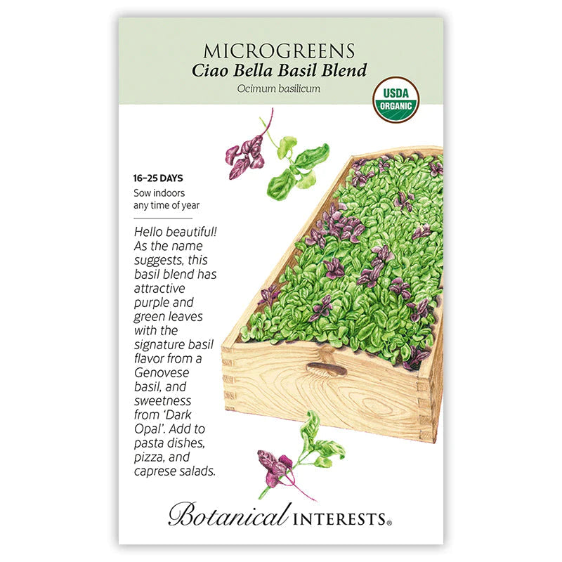Microgreens Basil Ciao Bella Basil Seed Blend ORG