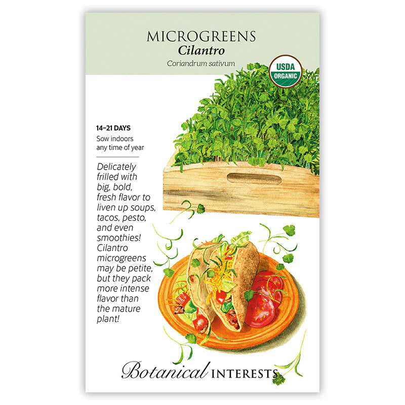 Microgreens Cilantro Seeds ORG