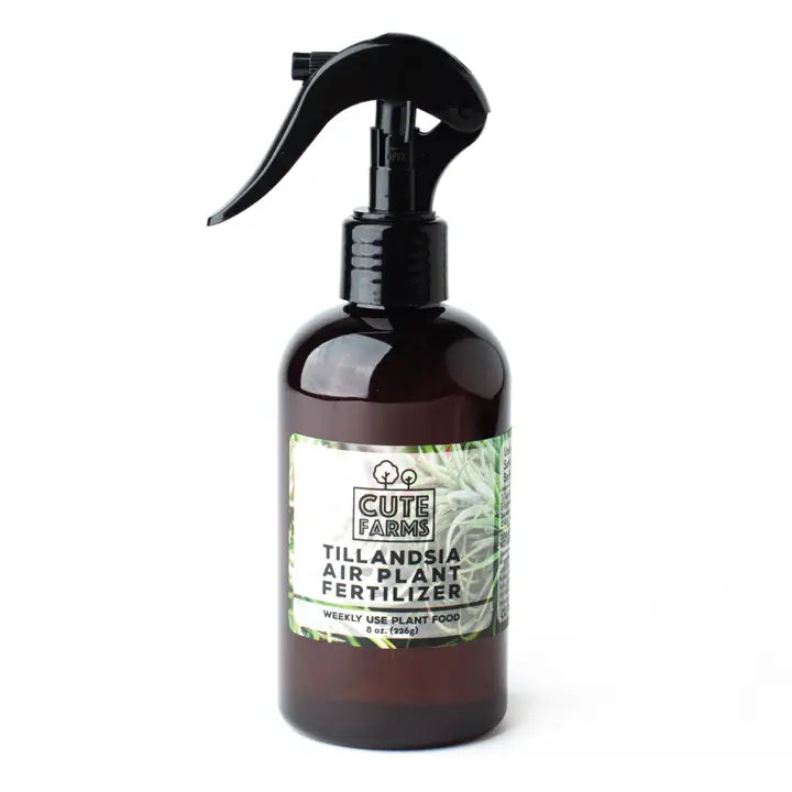 air plant nutrients Tillandsia Air Plant Fertilizer