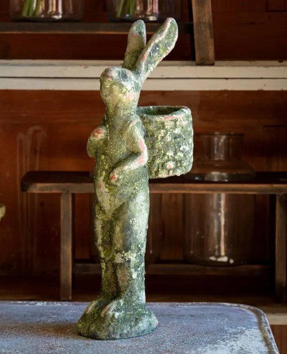 Aged Gathering Rabbit