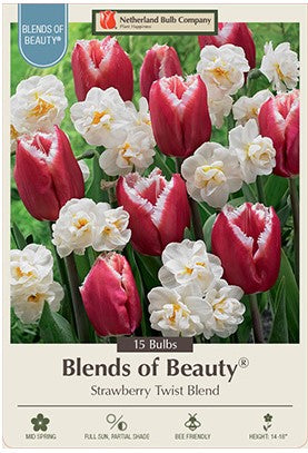 Asstd Bulbs, Strawberry Twist Blend