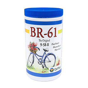 Carl Pool BR-61 9-58-8