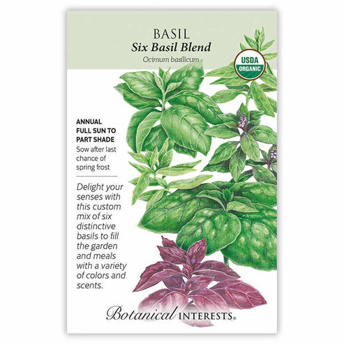 Basil Six Blend Org