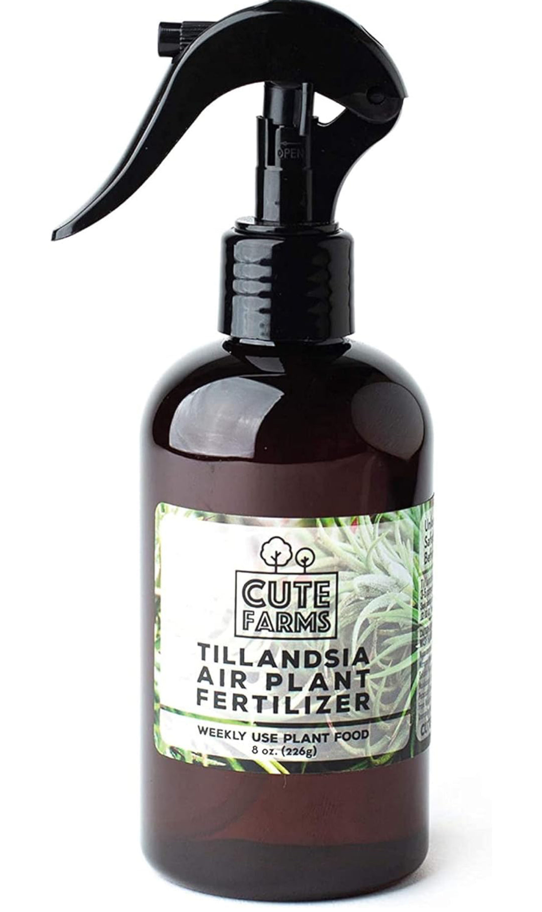 Tillandsia air plant fertilizer