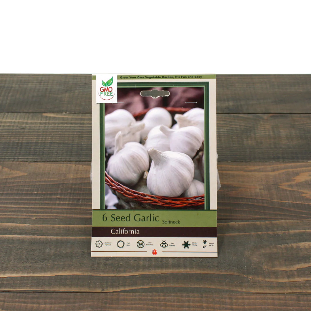 Seed Garlic California (Allium) Softneck - Jumbo Bulb