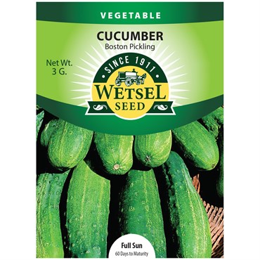 Cucumber Boston Pickling Seeds
