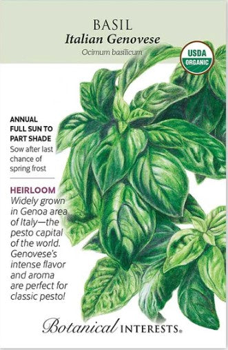 Italian Genovese Basil Seeds
