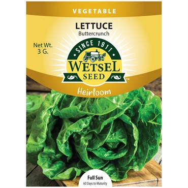 Heirloom Lettuce Buttercrunch Seeds